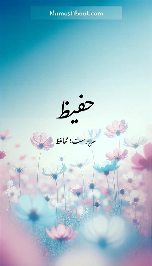 حفیظ