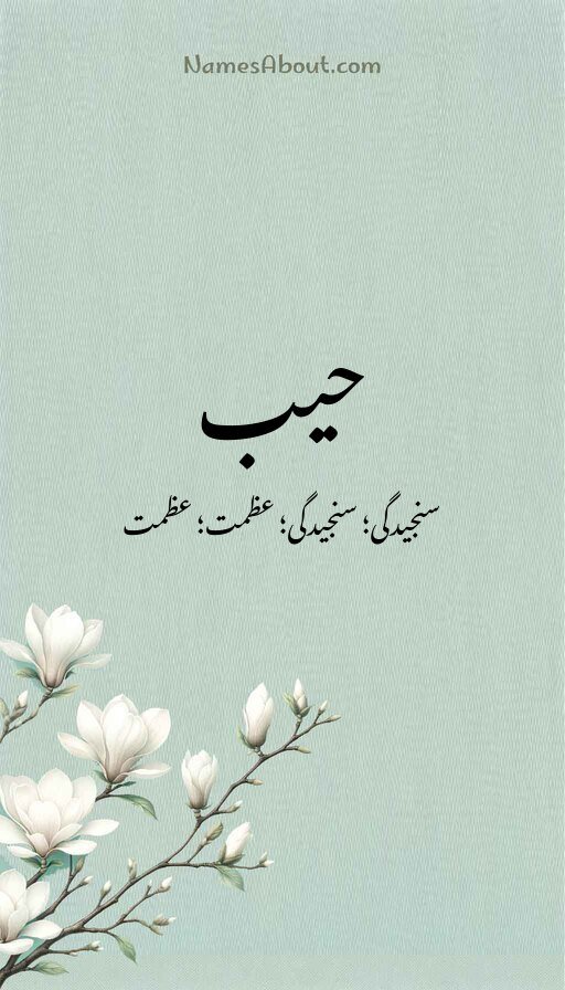 حیب
