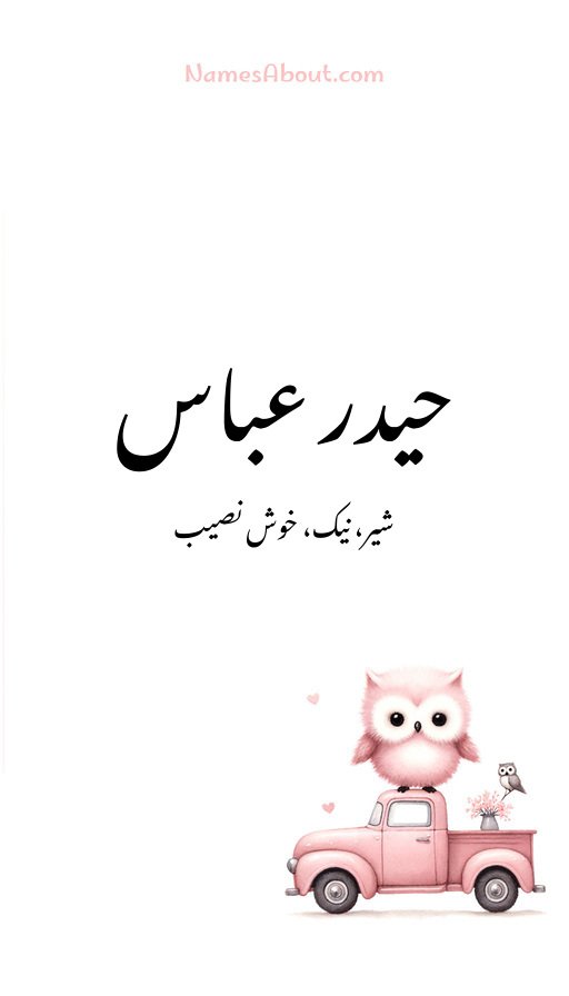 حیدر عباس
