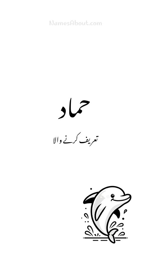حماد