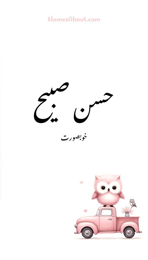 حسن صبیح