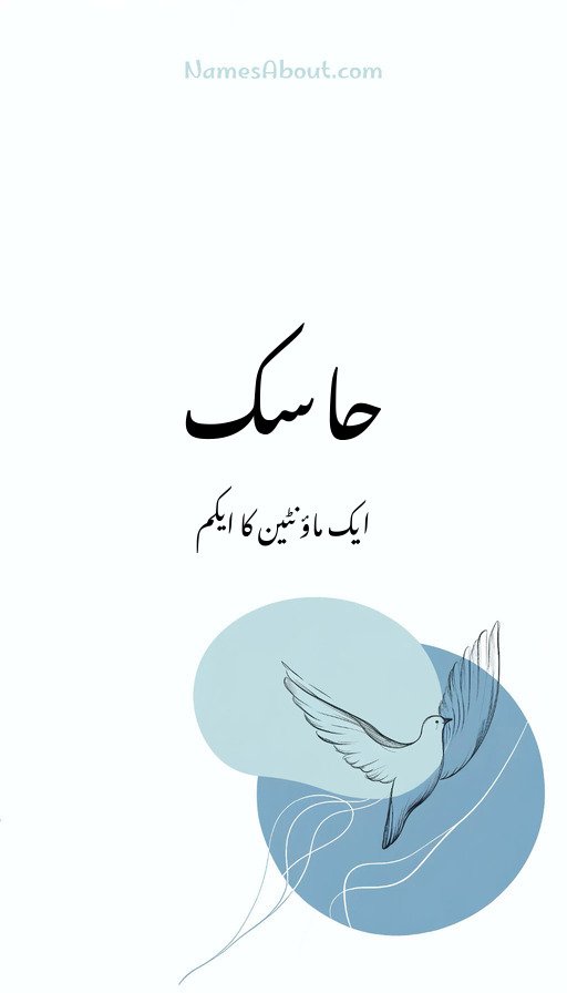 حاسک