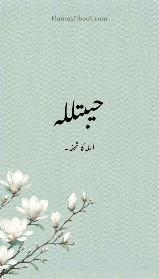 حیبتللہ