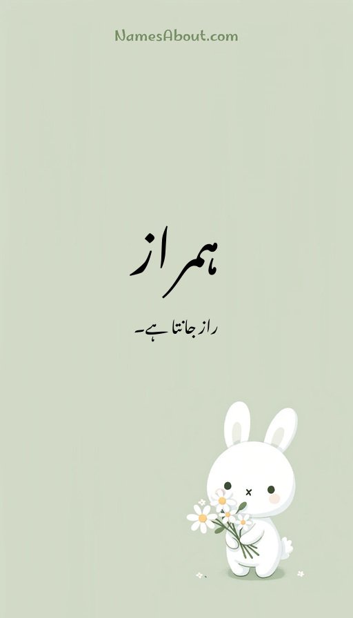 ہمراز