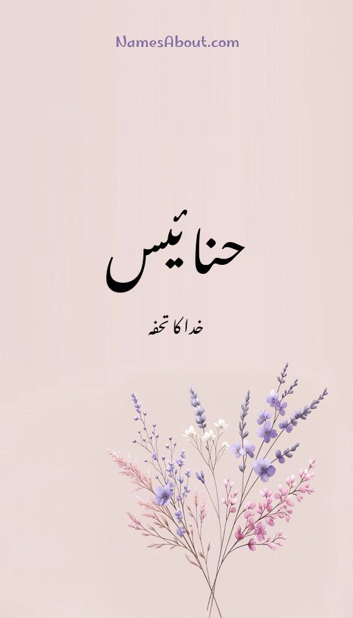 حنائیس