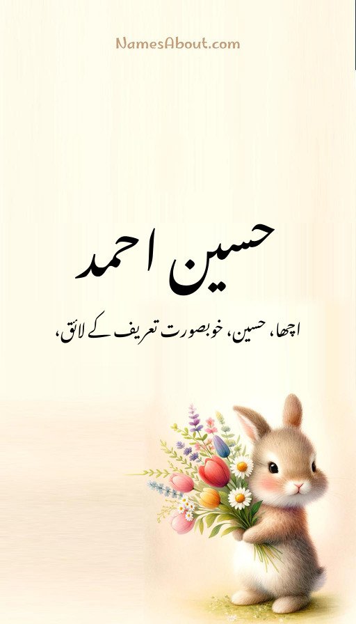 حسین احمد
