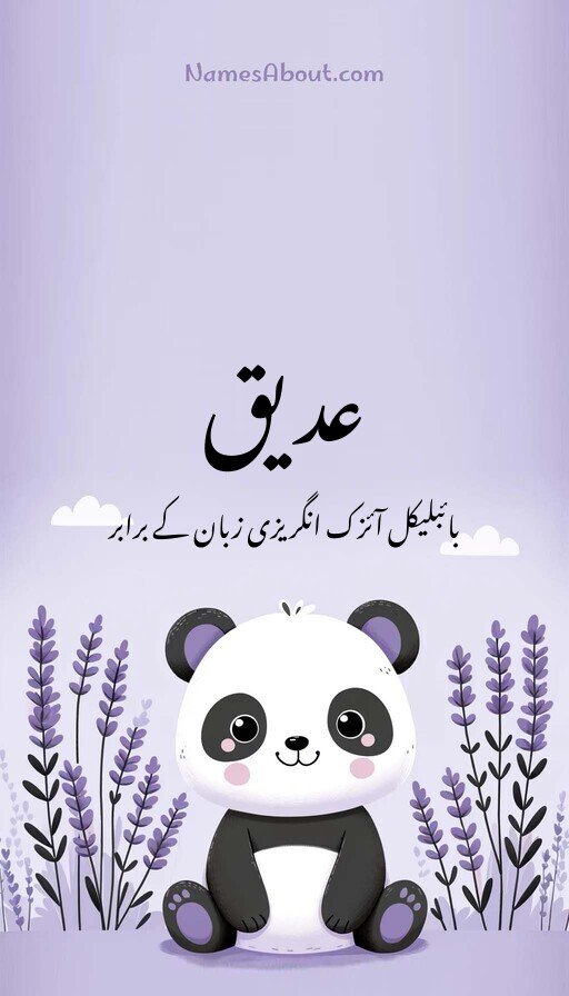 عدیق