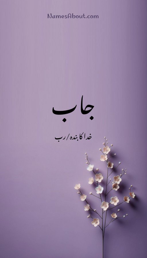 جاب