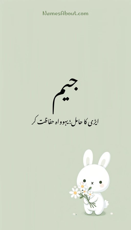 جیم