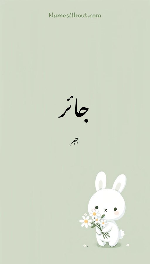 جائر