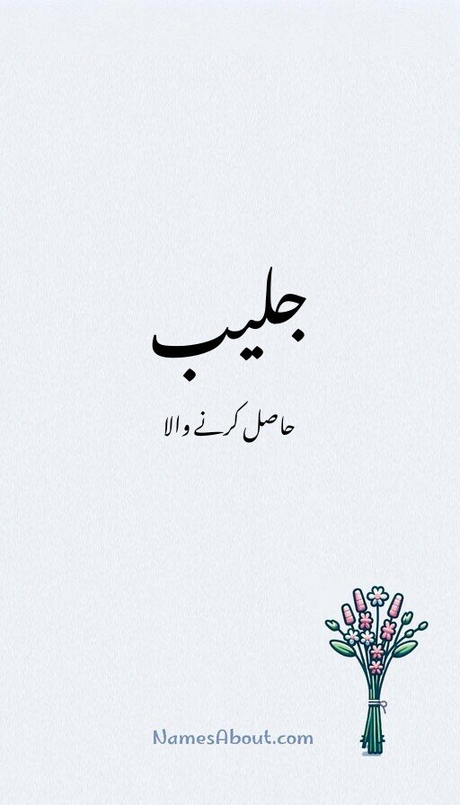 جلیب