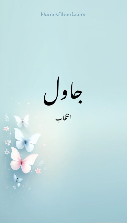 جاول