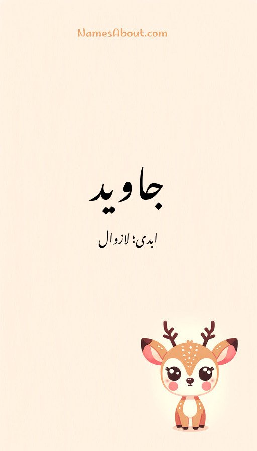جاوید