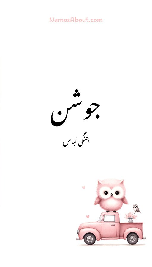 جوشن