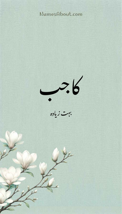 کاجب