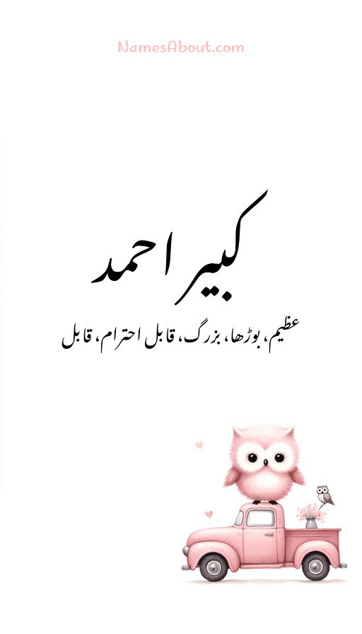 کبیر احمد
