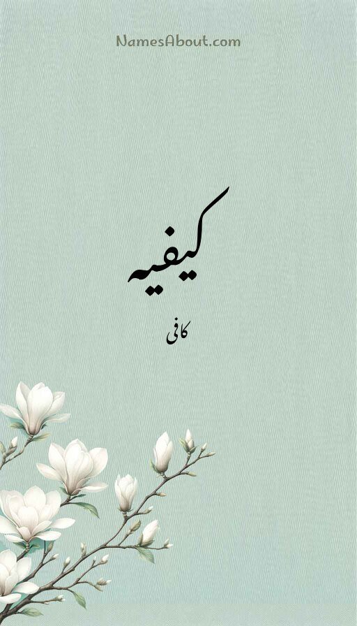 کیفیہ
