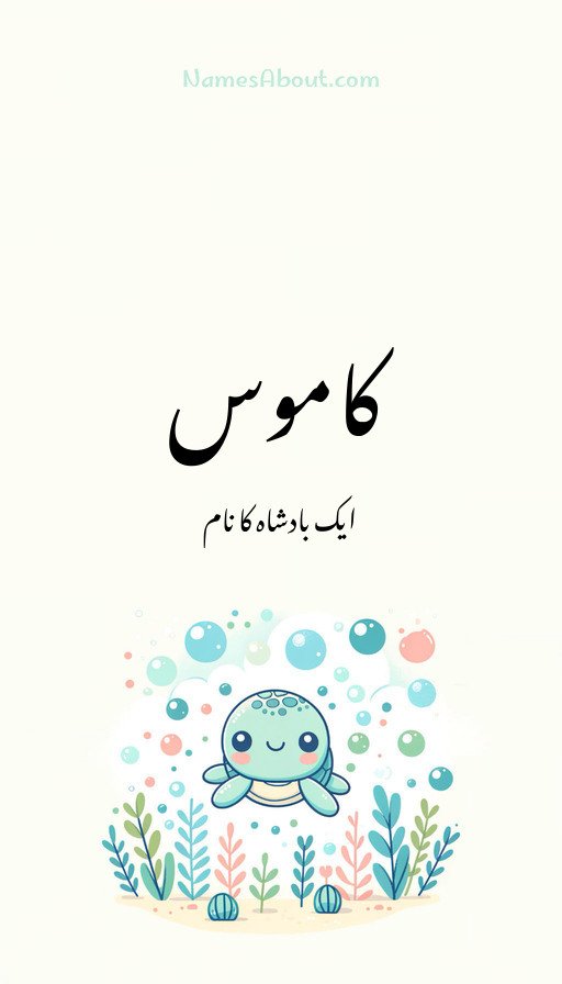 کاموس