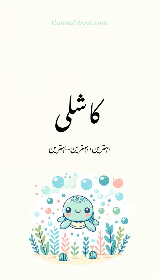 کاشلی