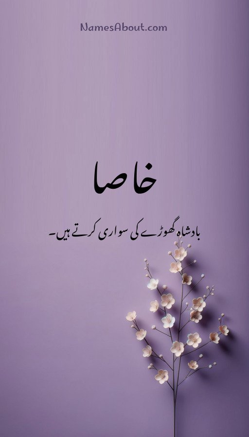 خاصا