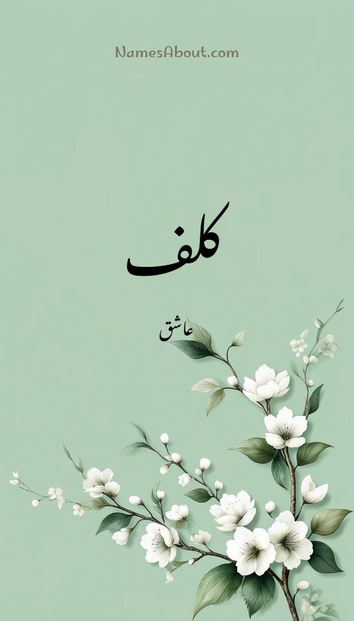 کلف