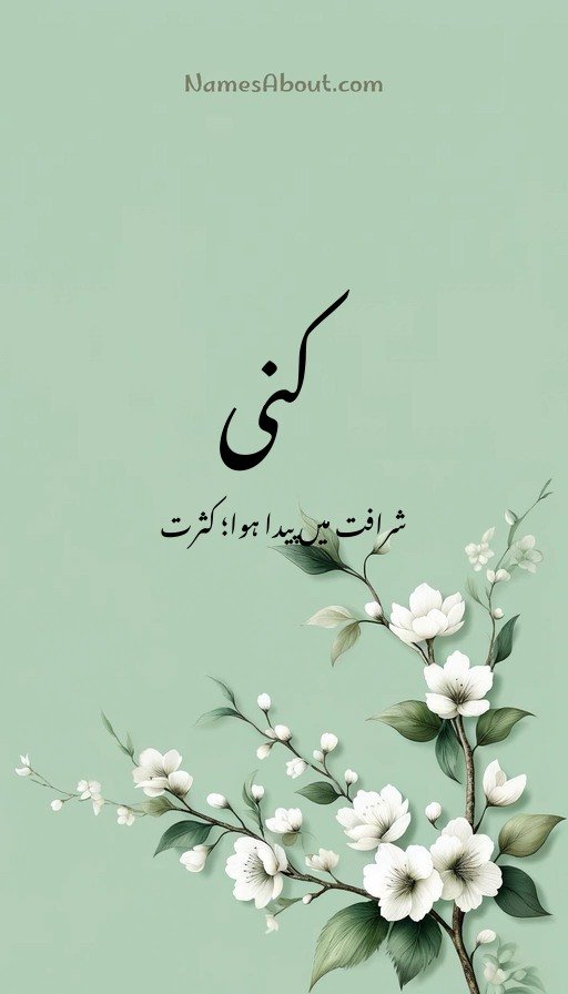 کنی