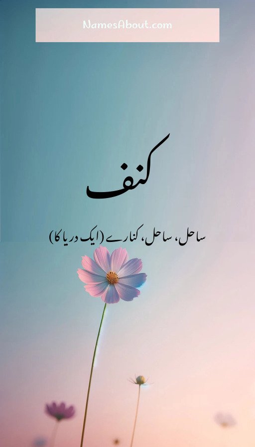 کنف