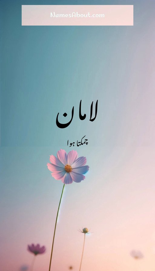 لامان