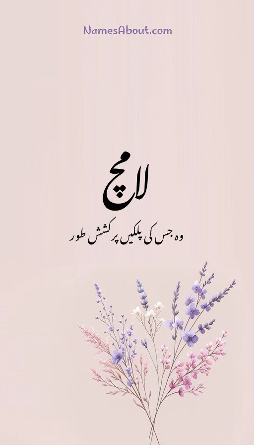 لامچ