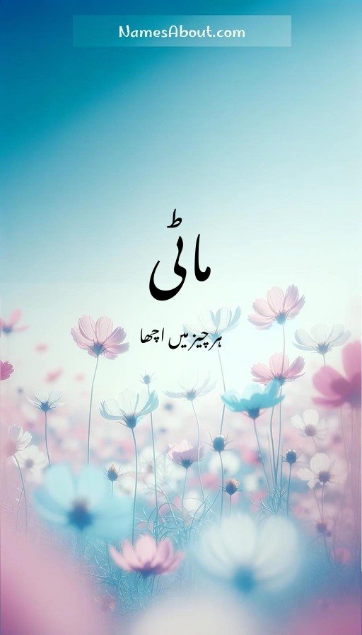 ماٹی