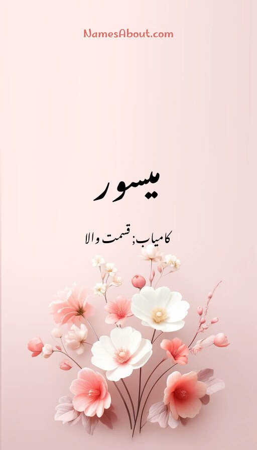 میسور