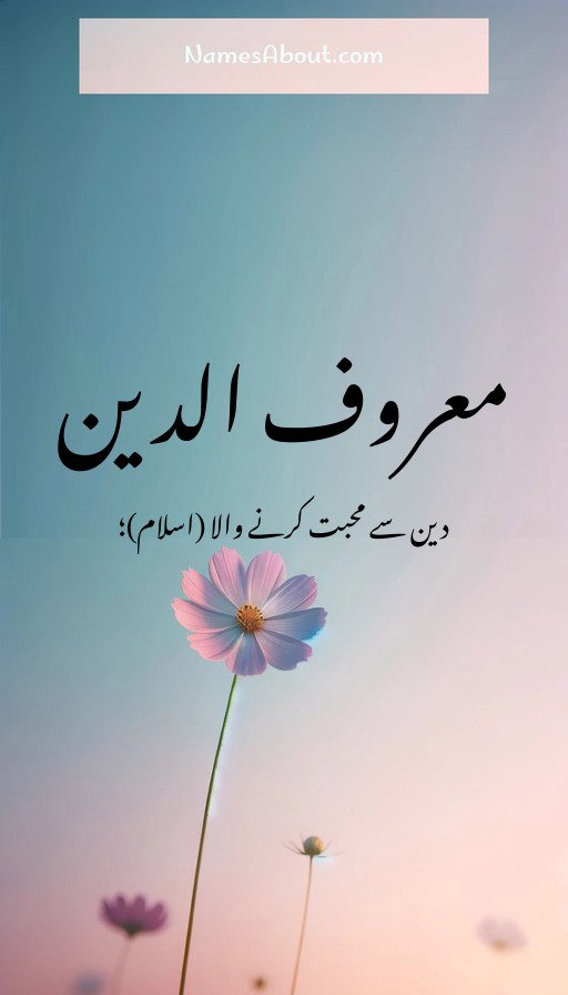 معروف الدین