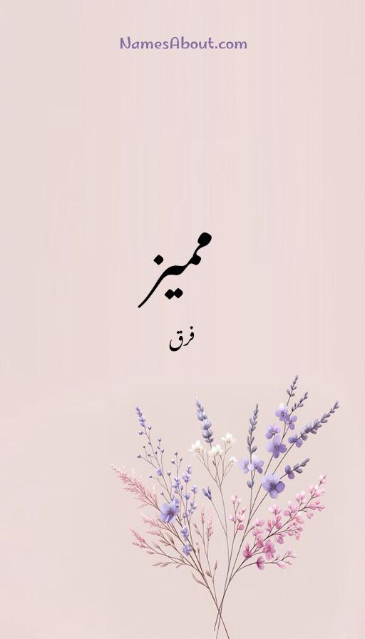 ممیز