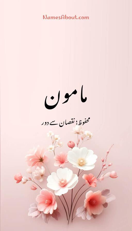 مامون