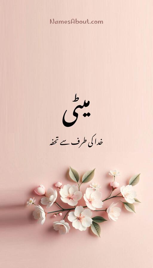 میٹی