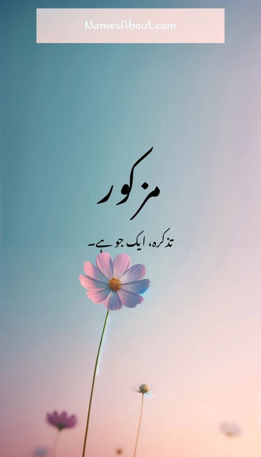 مزکور