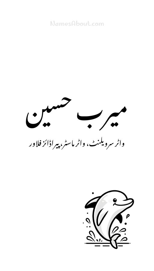میرب حسین