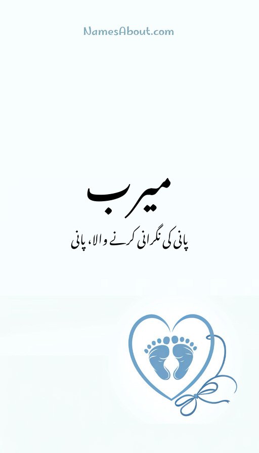 میرب