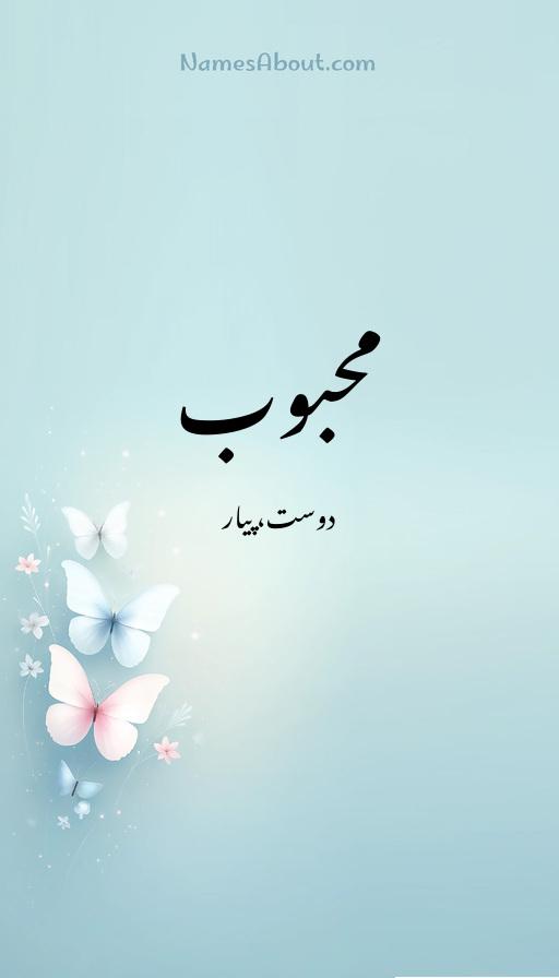 محبوب