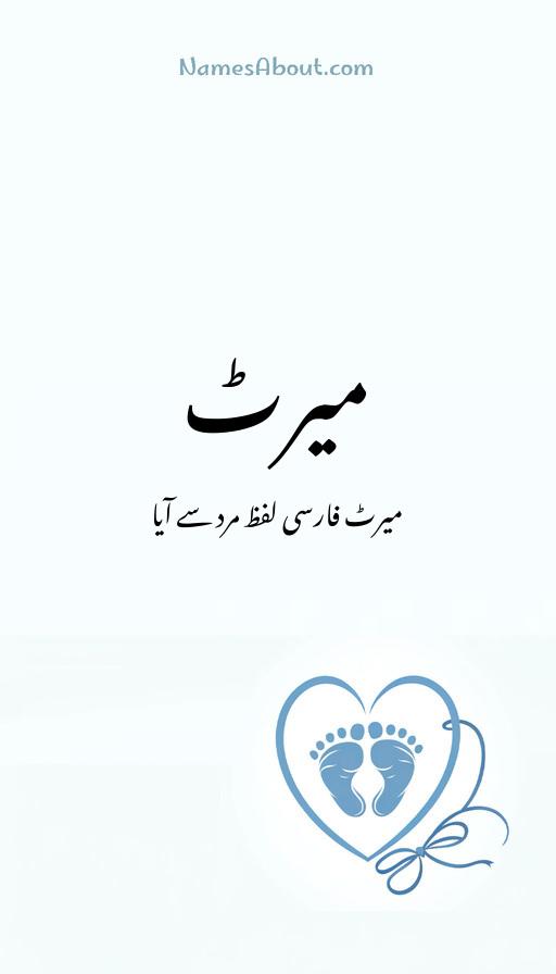 میرٹ