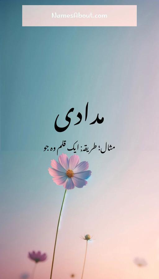 مدادی