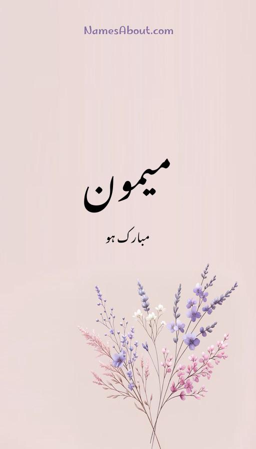 میمون