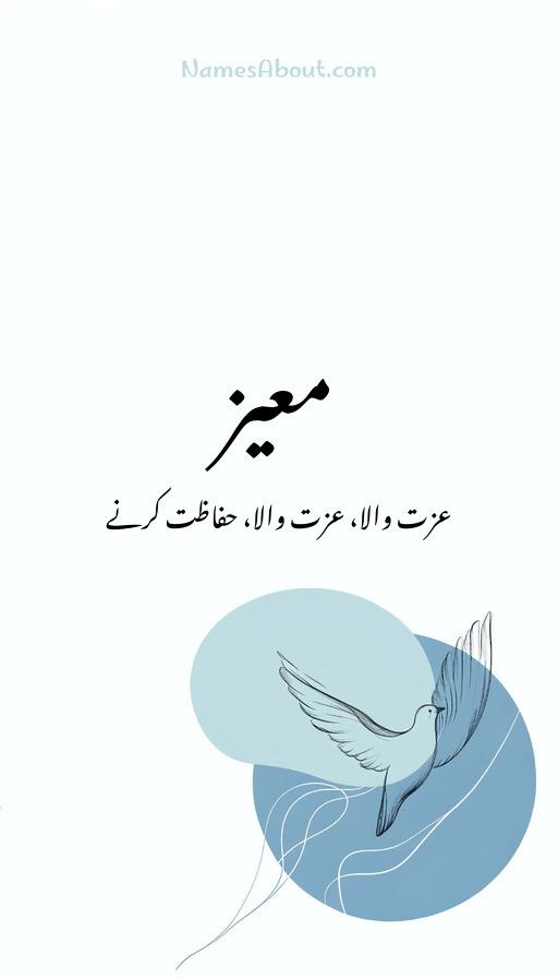 معیز