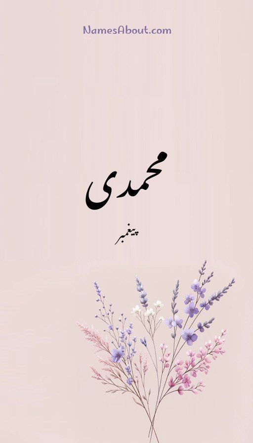 محمدی