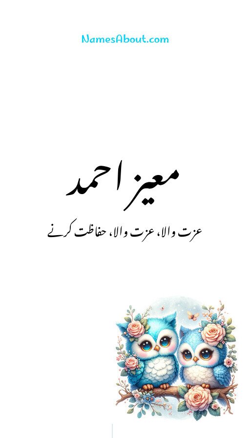 معیز احمد
