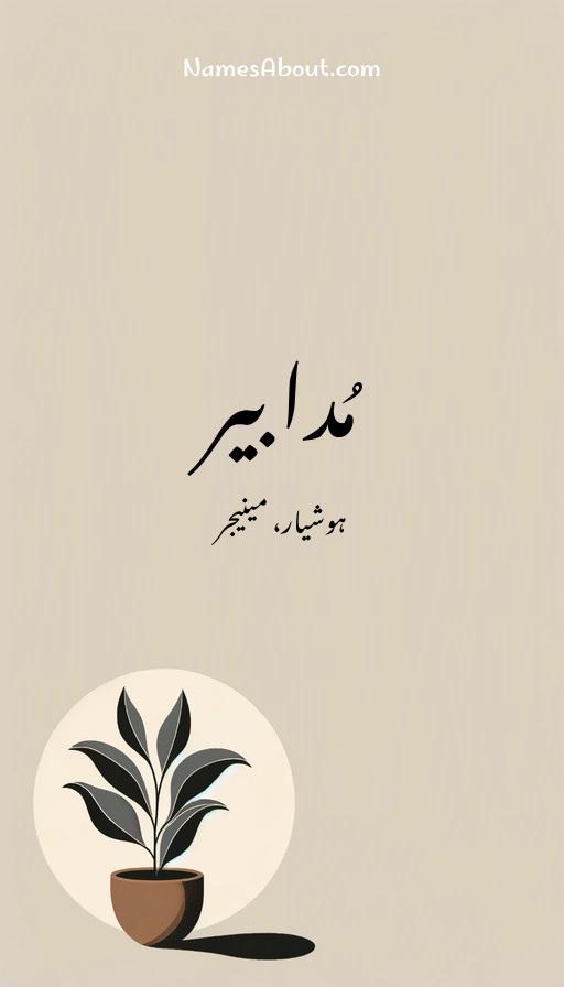 مُدابیر