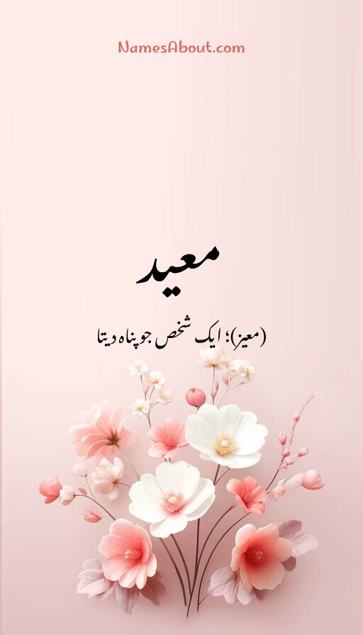 معید
