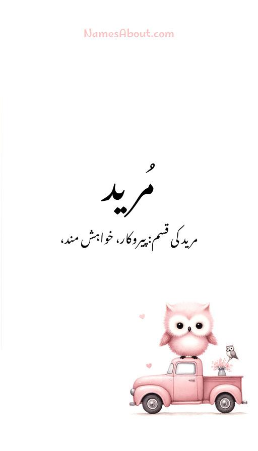 مُرید