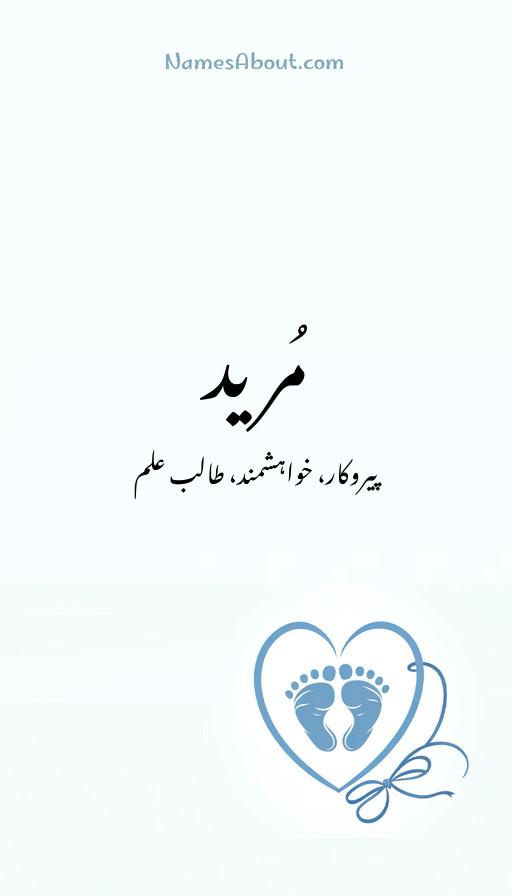 مُرید