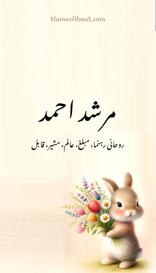 مرشد احمد
